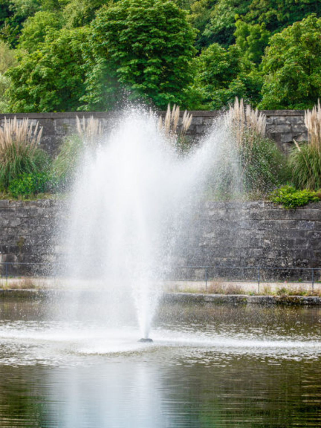 Aération plan d'eau